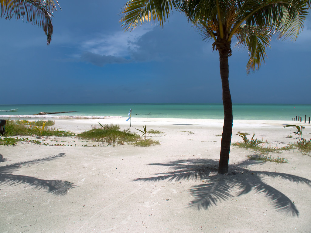 Playa virgen y palmeras en Isla Holbox